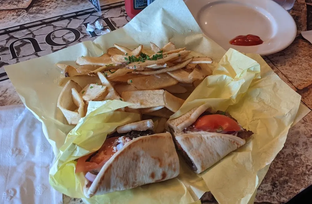 Gyro Sandwich & Garlic Fries